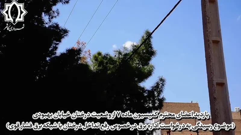 📷گزارش ویدئویی|    بازدید اعضای محترم کمیسیون ماده ۷ از وضعیت درختان خیابان بهبودی (موضوع رسیدگی به درخواست اداره برق در خصوص رفع تداخل درختان با شبکه برق فشار قوی)