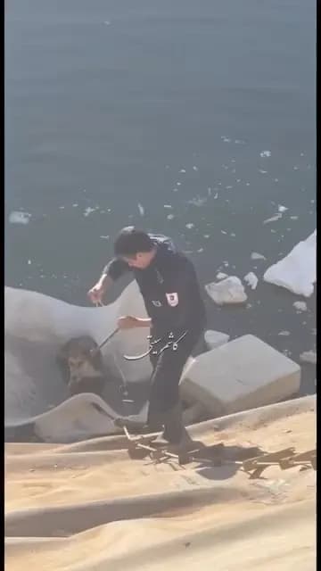 نجات حیوان گرفتار شده در استخر پر عمق توسط پرسنل آتش نشانی شهرداری کاشمر