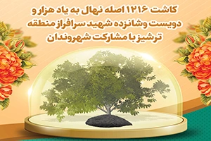 1785003862156-212771047.webp