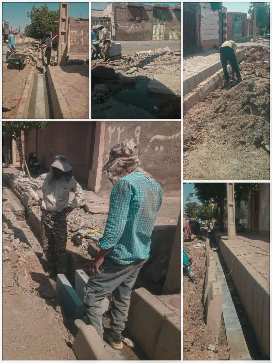 1785005168383-454176144.webp