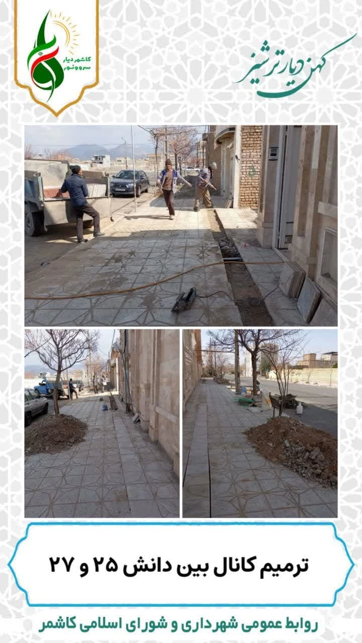 1785010682263-425394331.webp