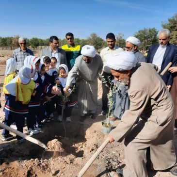 روایتی از روز درختکاری در کاشمر