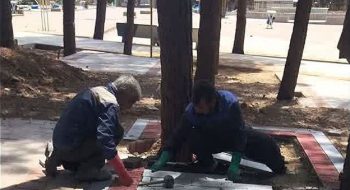 📷گزارش تصویری| عملیات زیباسازی وسنگ فرش محوطه پارک جنگلی امامزاده سیدمرتضی(ع)