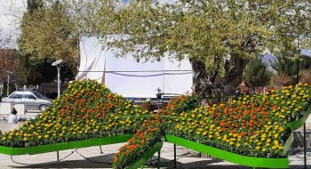 📷گزارش تصویری| گلکاری ابتدای بولوار سید مرتضی(ع) بزرگترین پارک خطی منطقه