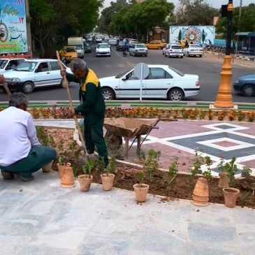 گلکاری و زیبا سازی میدان آزادی(باغمزار) توسط واحد فضای سبز شهردار کاشمر