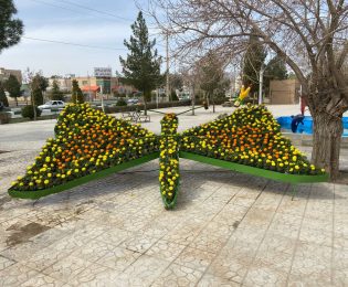 📷گزارش تصویری| ابتدای بلوار سیدمرتضی(ع)