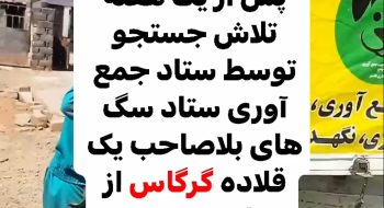 🎥|گزارش ویدیویی|پس از یک هفته جستجو توسط محیط زیست و سازمان آتش نشانی شهرداری کاشمر و ستاد جمع آوری سگ های بلاصاحب، یک قلاده گرگاس توسط اکیپ جمع آوری ستاد سگ های بلاصاحب جمع آوری شد.