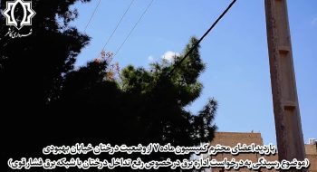 📷گزارش ویدئویی|    بازدید اعضای محترم کمیسیون ماده ۷ از وضعیت درختان خیابان بهبودی (موضوع رسیدگی به درخواست اداره برق در خصوص رفع تداخل درختان با شبکه برق فشار قوی)