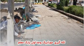 لکه گیری موزاییک وجداول پارک معلم
