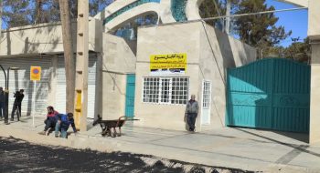 اجرای عملیات آسفالت جلوی پارک بانوان محله قائم