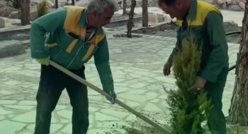 کاشت ۱۲۲۲ نهال به یاد و نام ۱۲۲۲ شهید منطقه ترشیز در مجموعه گردشگری بامشار