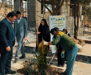 هر درخت، یادگاری از یک قهرمان … 🌳✨