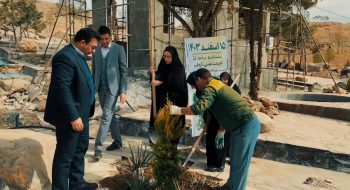 هر درخت، یادگاری از یک قهرمان … 🌳✨
