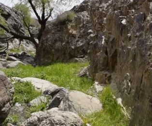 شهردار کاشمر، در حمایت از پویش “یک، دو، سه، طبیعت” که توسط استاندار محترم خراسان رضوی اجرا شده است، سخنی با همشهریان عزیزمان دارم.
