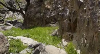 شهردار کاشمر، در حمایت از پویش “یک، دو، سه، طبیعت” که توسط استاندار محترم خراسان رضوی اجرا شده است، سخنی با همشهریان عزیزمان دارم.